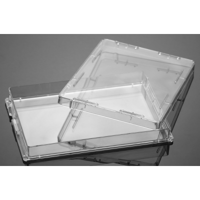 JETBIOFIL洁特 细胞培养板 TCP000024 1块包×50包 BCC-9307-84 TCP000024