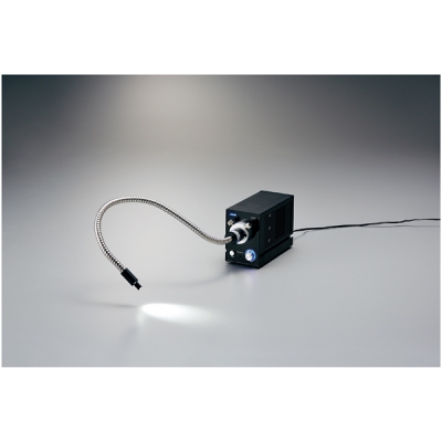 日本亚速旺 ASONE 实验室用油漆笔 edding751 绿 耐高温1-2(10支盒) CC-4233-04