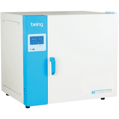 BEING 恒温培养箱-鼓风 BI-120F(1台入) CC-4108-07 BI-120F
