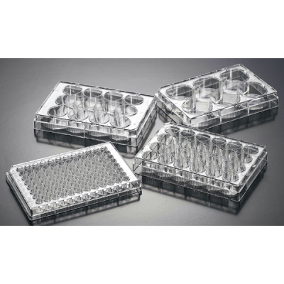 JETBIOFIL洁特 JETBIO细胞培养板 TCP011024(1块盒，100块箱) CC-4086-12 TCP011024