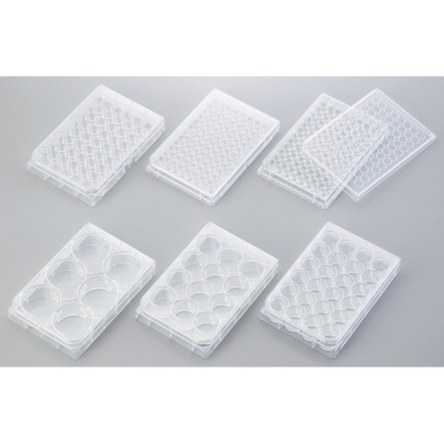 CORNING康宁 多孔板 3516 1箱(1只×50袋) C2-2065-01 3516