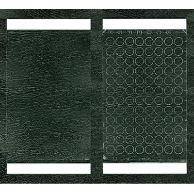 Excel Scientific 实时PCR板用膜 TSS-RTQ-100 1盒(100张) 3-9129-02 TSS-RTQ-100