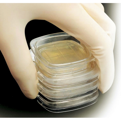 ELMEX 接触性琼脂培养基 AS-003(48个盒) CC-4305-03