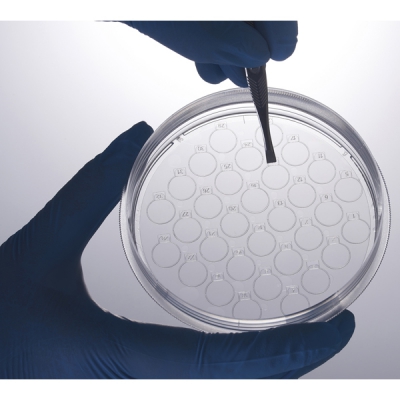 JETBIOFIL洁特 细胞爬片培养皿 CXD206010 48个箱 CC-5328-02 CXD206010