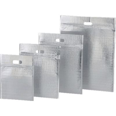 ASONE 亚速旺 2-88691-01-AS带拉链保冷保温袋平袋S