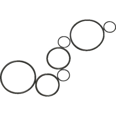 ASONE 亚速旺 2354-16-AS氟橡胶O形圈P-21