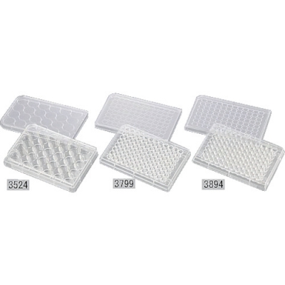 ASONE 亚速旺 22065-08-AS多层板3799（50枚装）