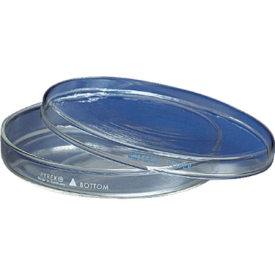 ASONE 亚速旺 股份2-9446-01-AS鸡肉盘3160-150